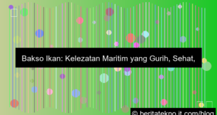 ilustrasi bakso ikan