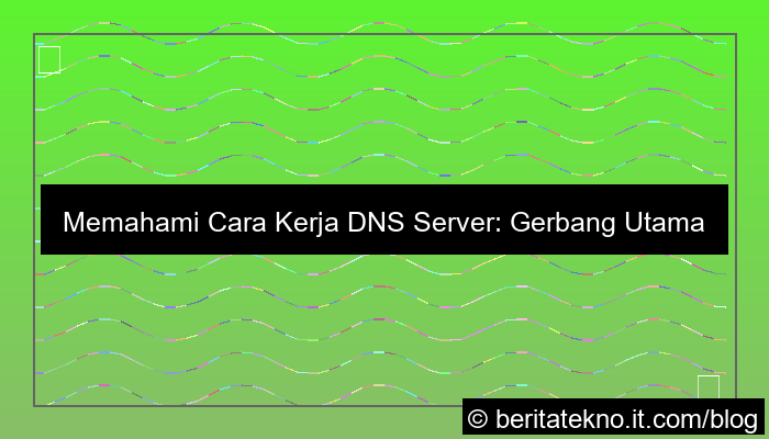 visual cara kerja dns server