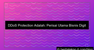ddos protection adalah