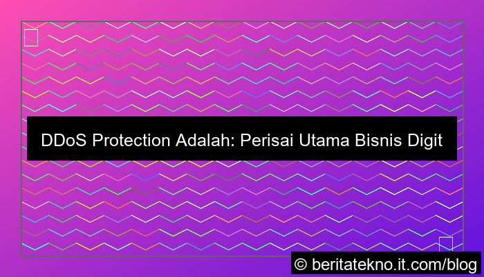 ddos protection adalah