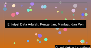visual enkripsi data adalah