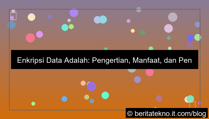 visual enkripsi data adalah