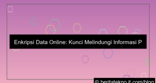 desain enkripsi data online