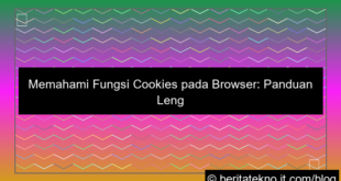 visual fungsi cookies pada browser