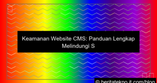 ilustrasi keamanan cms website