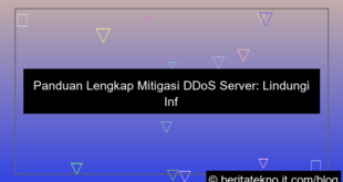 visual mitigasi ddos server