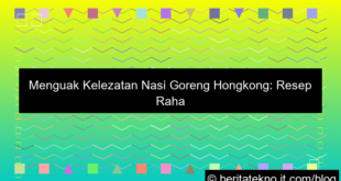 grafik nasi goreng hongkong