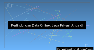 perlindungan data online