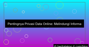ilustrasi privasi data online