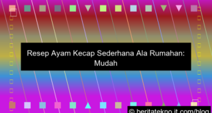 visual resep ayam kecap sederhana ala rumahan