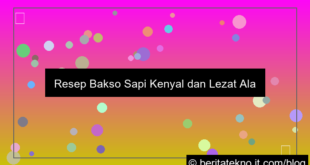 grafik resep bakso sapi