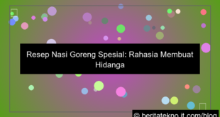 grafik resep nasi goreng spesial