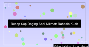 ilustrasi sop daging sapi