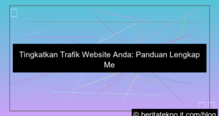 visual trafik website dari internet
